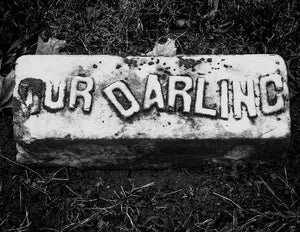 “Our Darling” photographic print - Dom sub